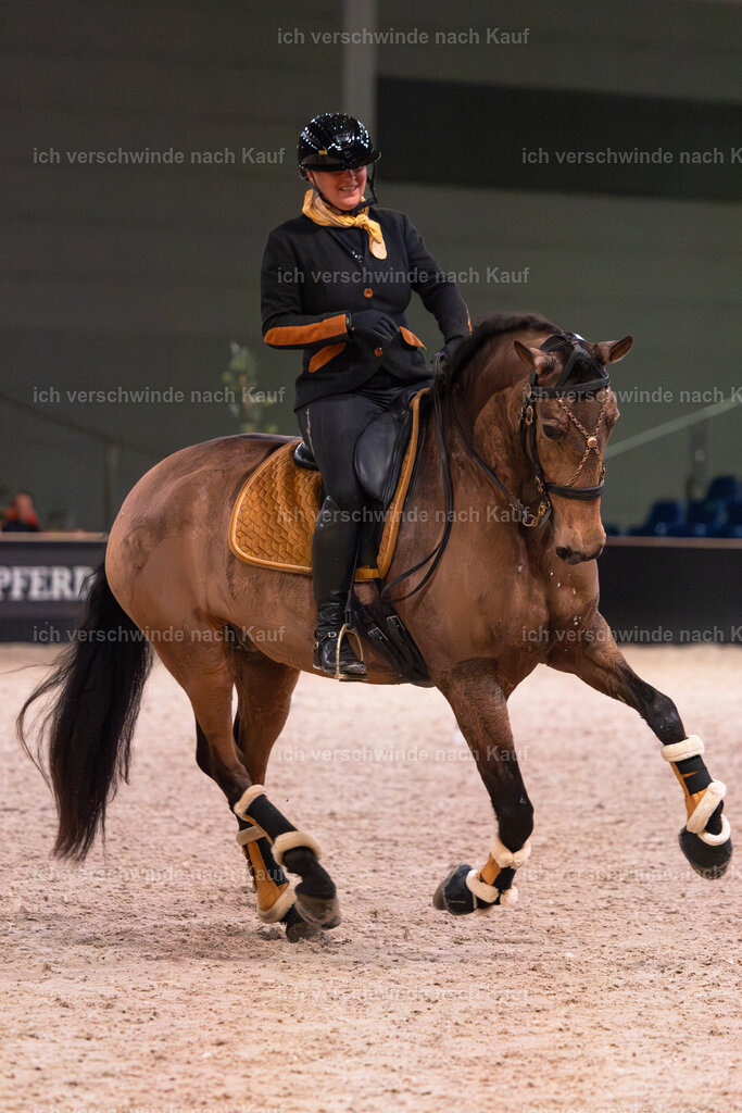 JoseraCup-61 | working equitationturnier fotograf videograf stoibphotography marixx film working equitation deutschland reitsport turnierfotografie eventfotografie equestrian events