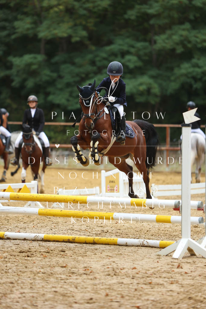 IMGM1934 | pl-fotografie