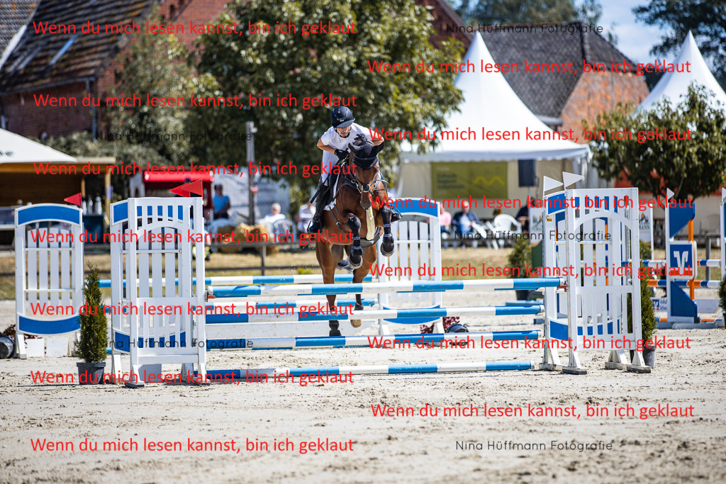 BK1A5378 | Turnierbilder Turnierfotos Nina Hüffmann Turnierfotografie Pferdefotografie Tierzeichnung Haustierzeichnung Pferdezeichnung Hundezeichnung Videograf  - Realisiert mit Pictrs.com