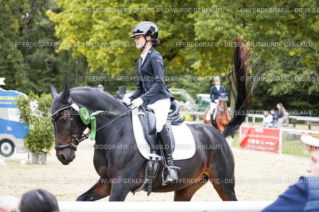 DSC02485 | Pferdegrafie