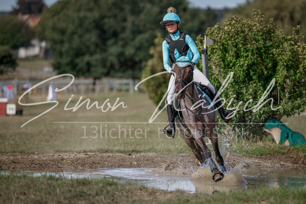 20250907-_3LI9204 | Tierfotografie Pferde, Hunde, Katzen, Haustiere.
Turnierfotografie Reitturniere, Reiten, Springreiten, Dressur in Hanau, dem Main-Kinzig-Kreis und dem Rhein-Main- Gebiet um Frankfurt