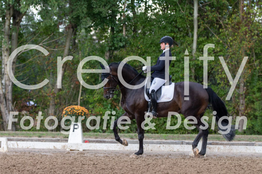 IMG_4384 | Creatify Fotografie
