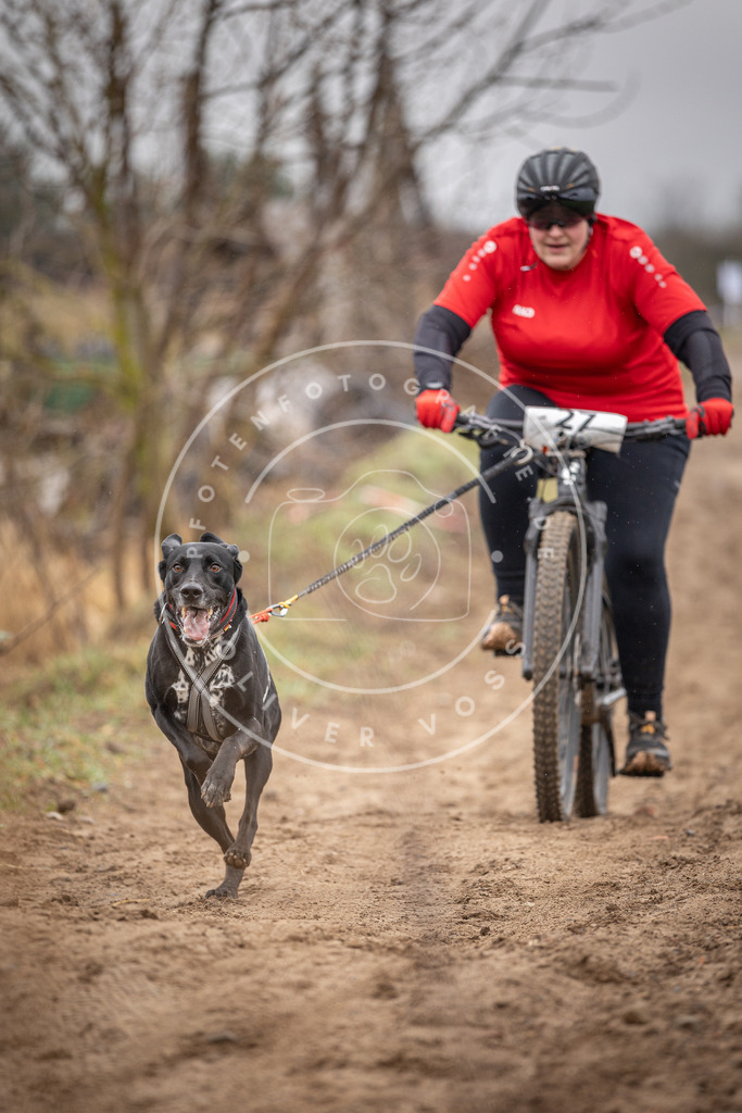 DV3A9033 | Hundefotografie, Tierfotograf, Pfotenfotografie, Fotoshooting Hund, Hunde Portrait, Hundesport, Hundeportraits, Heideshooting, Hunde, Sportfotograf, Hundefotograf, Turnierhundsport, THS,  - Realisiert mit Pictrs.com
