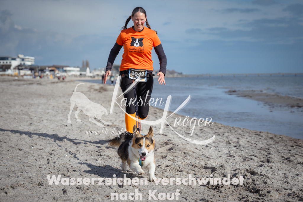 1246_ZZ98753 | kk-dogfotos