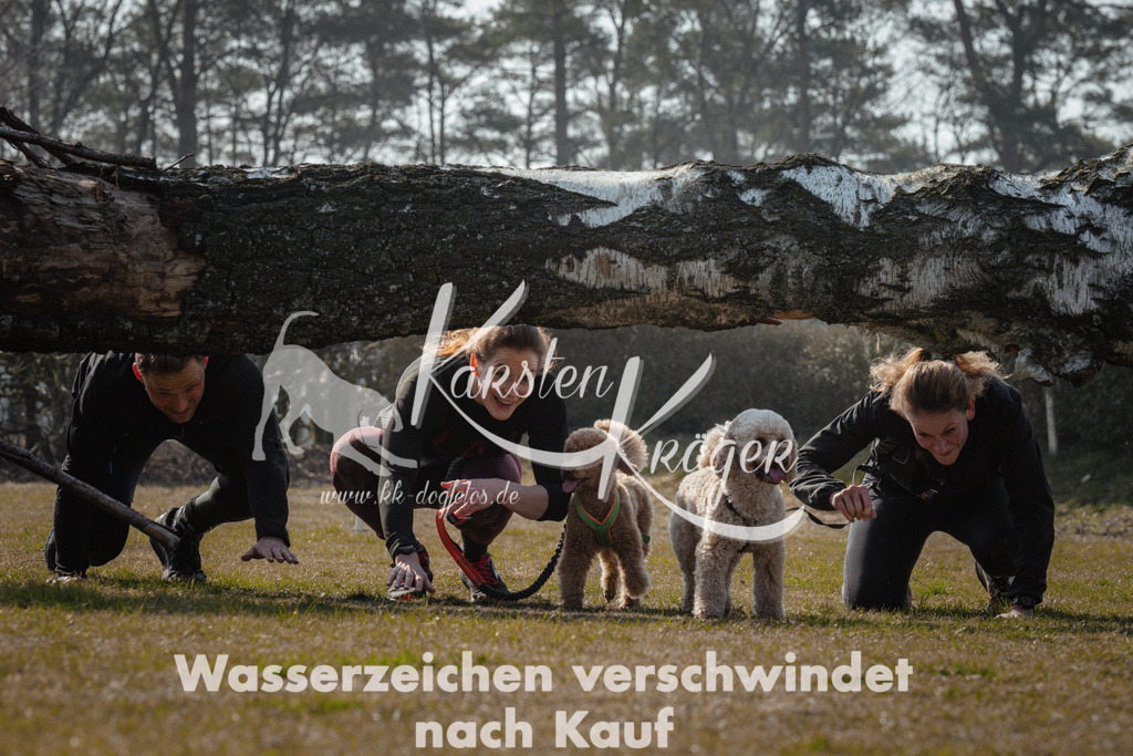 1110_ZZ94948 | kk-dogfotos