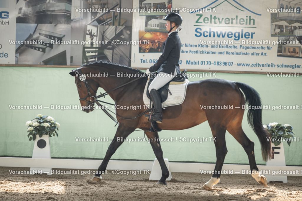 _D5A5441 | Emotionale Pferde- & People-Fotografie rund um Heidelberg, Leimen & Umgebung. Natürliche Fotos von Pferd, Mensch & Familie. Jetzt Termin sichern!