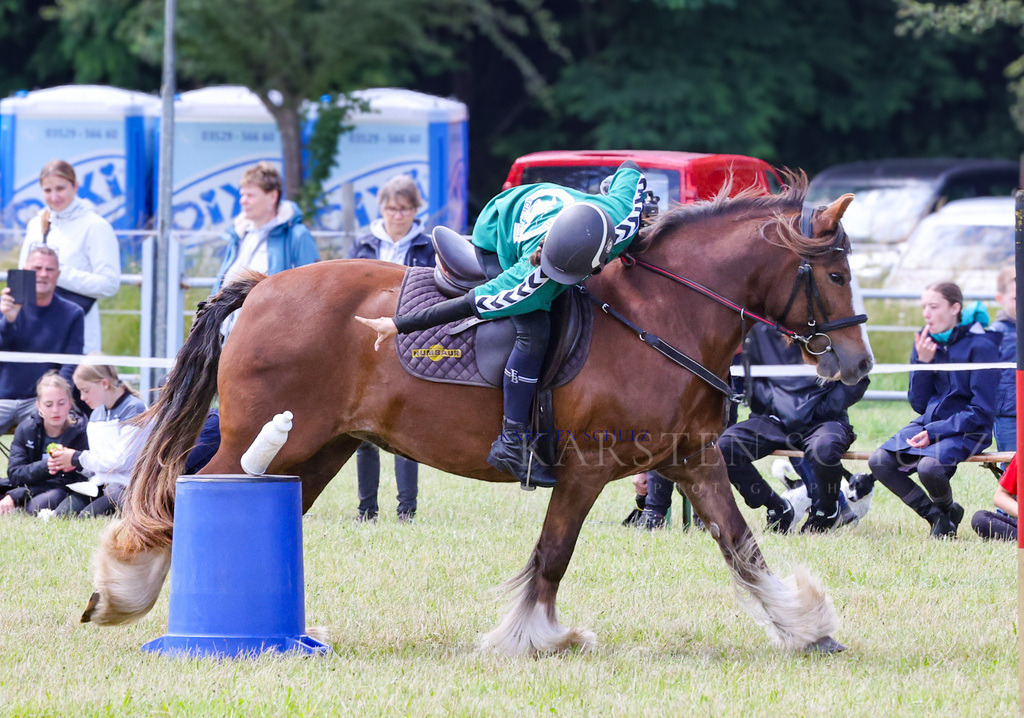 1B3A2369 | Reitsport Reiten