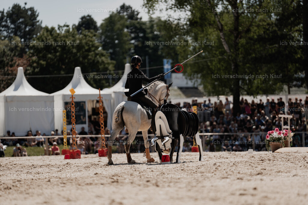 WE_SP_Stoib_336_PI2025_1698 | Pferd International München 2025