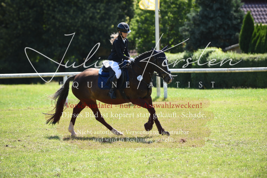 DSC_9596 | Pferde- und Turnierfotografie in Westsachsen. Pferdeportraits, Auftragszeichnungen und intuitive Kunst.