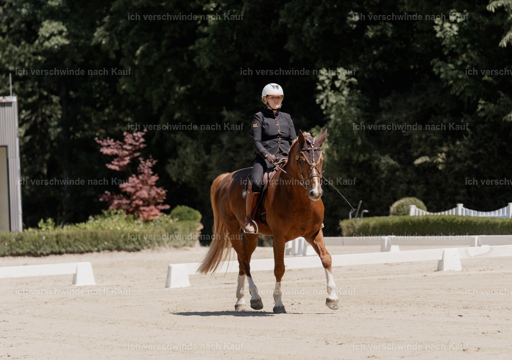 WE_DR_16_SinaFilmArt_IN02919 | working equitationturnier fotograf videograf stoibphotography marixx film working equitation deutschland reitsport turnierfotografie eventfotografie equestrian events