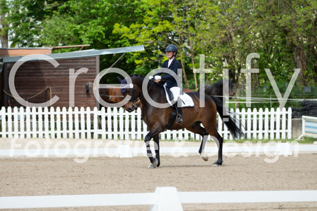 IMG_5641 | Creatify Fotografie