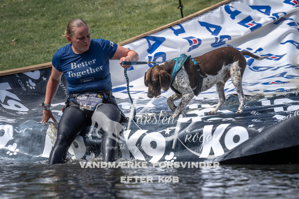 1250_ZZ99151 | kk-dogfotos