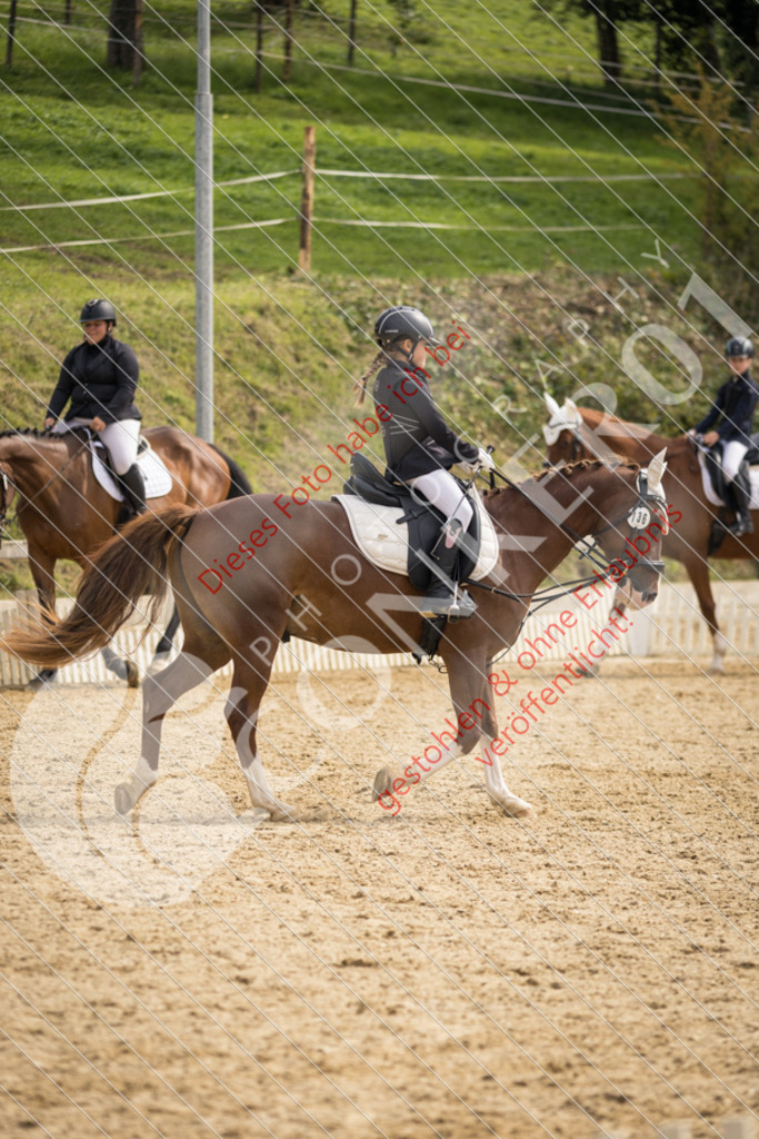 CON_0178 | Sport-, Event- und Tierfotos in Profiqualität. Einfach auswählen, bestellen und herunterladen. Dein Moment – perfekt festgehalten.