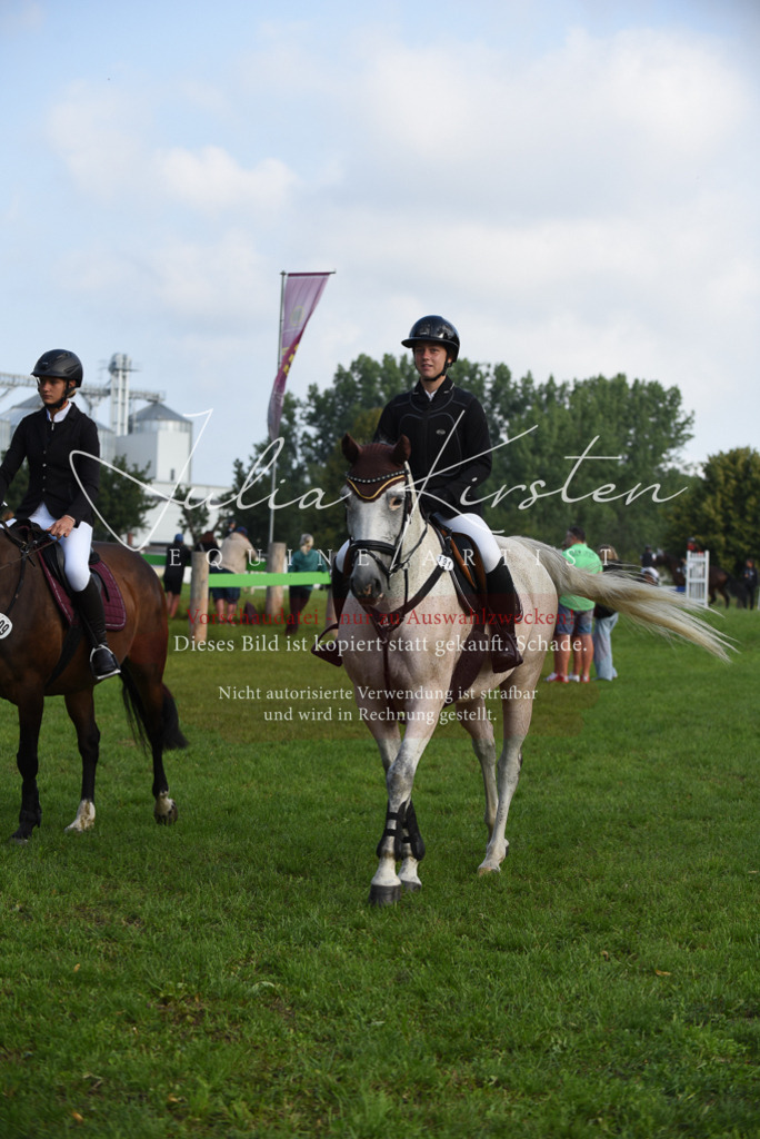 DSC_8571 | Pferde- und Turnierfotografie in Westsachsen. Pferdeportraits, Auftragszeichnungen und intuitive Kunst.