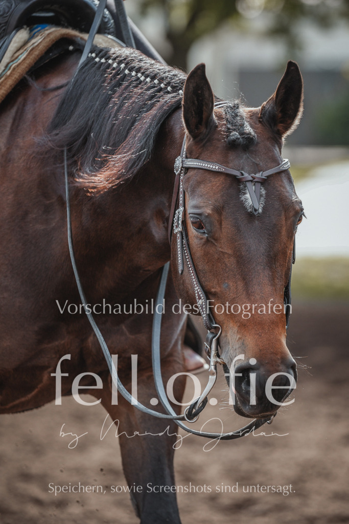 fell.o.fie_mandyjordan_2024_06_01573 | Mandy Klecke Fellfotografie, fell.o.fie Fotografenshop - Realisiert mit Pictrs.com