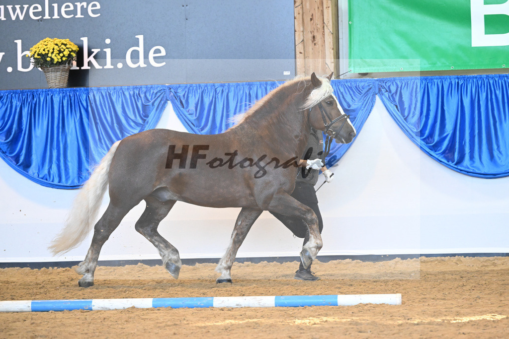 Kat-Nr. 119 Markward_HLG Marbach_53220863 | hf-fotografie - Realizzato con Pictrs.com