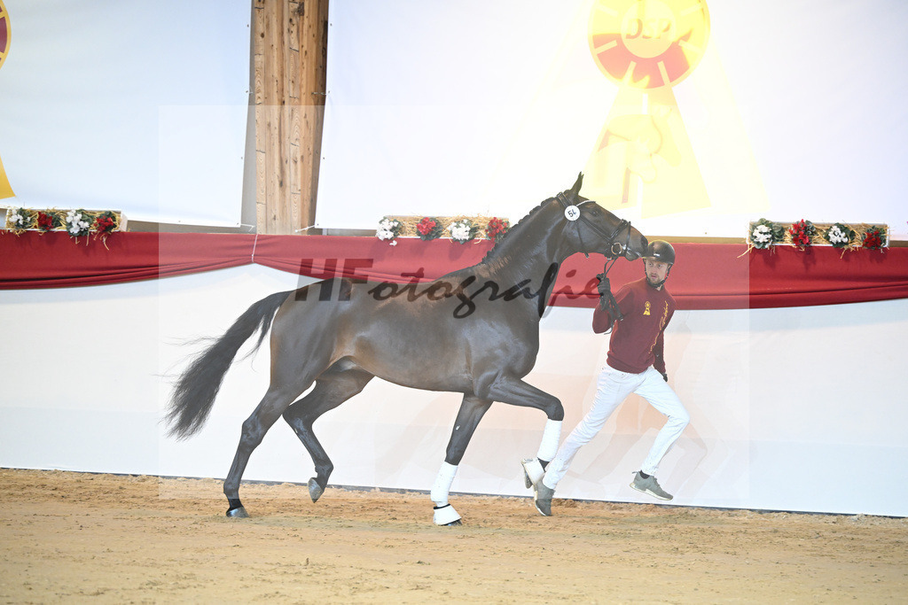 Kat-Nr. 54 Feinrich_Ruediger_1231365 | hf-fotografie - Realisiert mit Pictrs.com