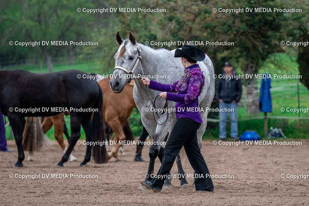 BA300083 | dv-media-shop - Realisiert mit Pictrs.com