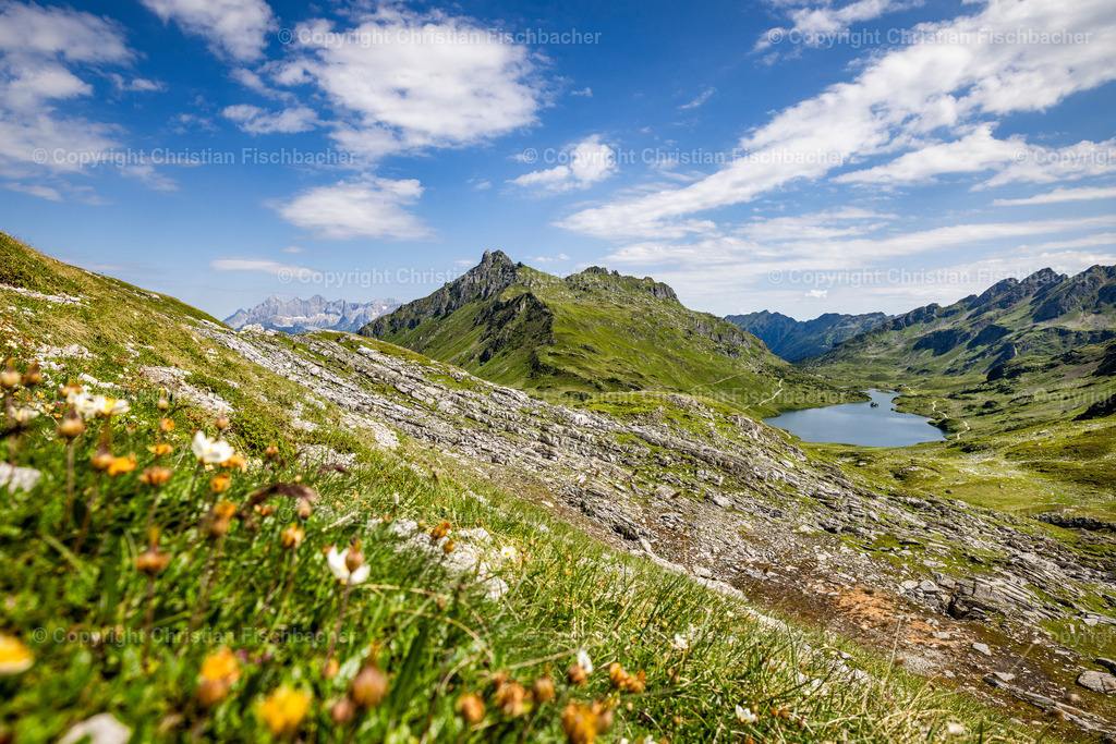 Fotos_Copyright_Chri_Fischbacher_Druck-533 | Bildershop Chri Fischbacher - Realisiert mit Pictrs.com