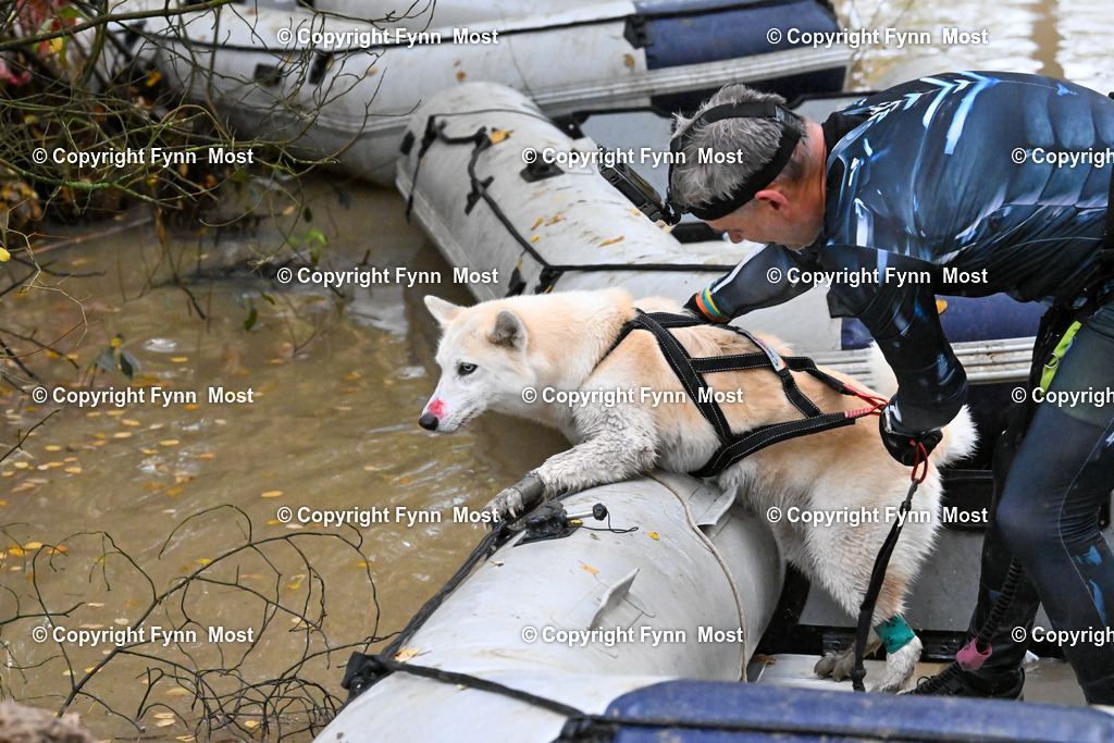 DSC_6810 | Hallo und herzlich Willkommen auf meiner Shop-Seite Fynn Most.

Ich wünsche Dir viel Spaß beim stöbern durch die Bilder, wenn Du Fragen hast oder Bilder vermisst, kannst du mir gerne eine Nachricht schreiben. - Realisiert mit Pictrs.com