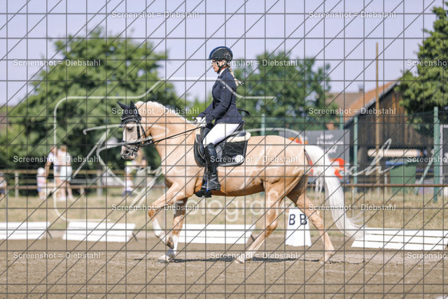 _W6A4462 | ronjaprokoschfotografie - Realisiert mit Pictrs.com