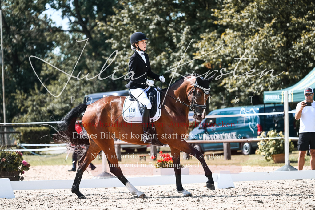 DSC_5054 | Pferde- und Turnierfotografie in Westsachsen. Pferdeportraits, Auftragszeichnungen und intuitive Kunst.