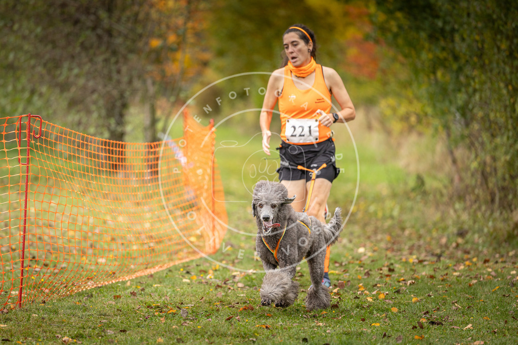 Pfotenfotografie_DV3A4808 | Hundefotografie, Tierfotograf, Pfotenfotografie, Fotoshooting Hund, Hunde Portrait, Hundesport, Hundeportraits, Heideshooting, Hunde, Sportfotograf, Hundefotograf, Turnierhundsport, THS,  - Realisiert mit Pictrs.com