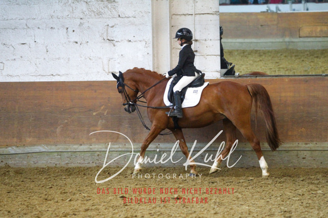 DKP44149 | Turniersportfotografie; Pferdefotografie; Dressurfotografie