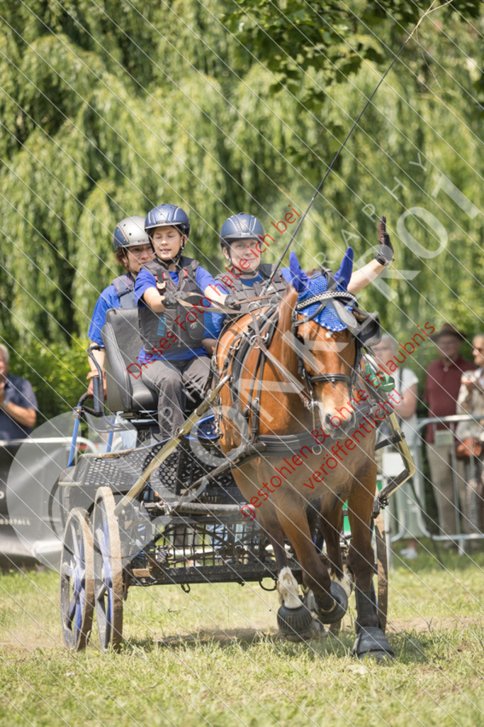 IMG_9263 | Sport-, Event- und Tierfotos in Profiqualität. Einfach auswählen, bestellen und herunterladen. Dein Moment – perfekt festgehalten.