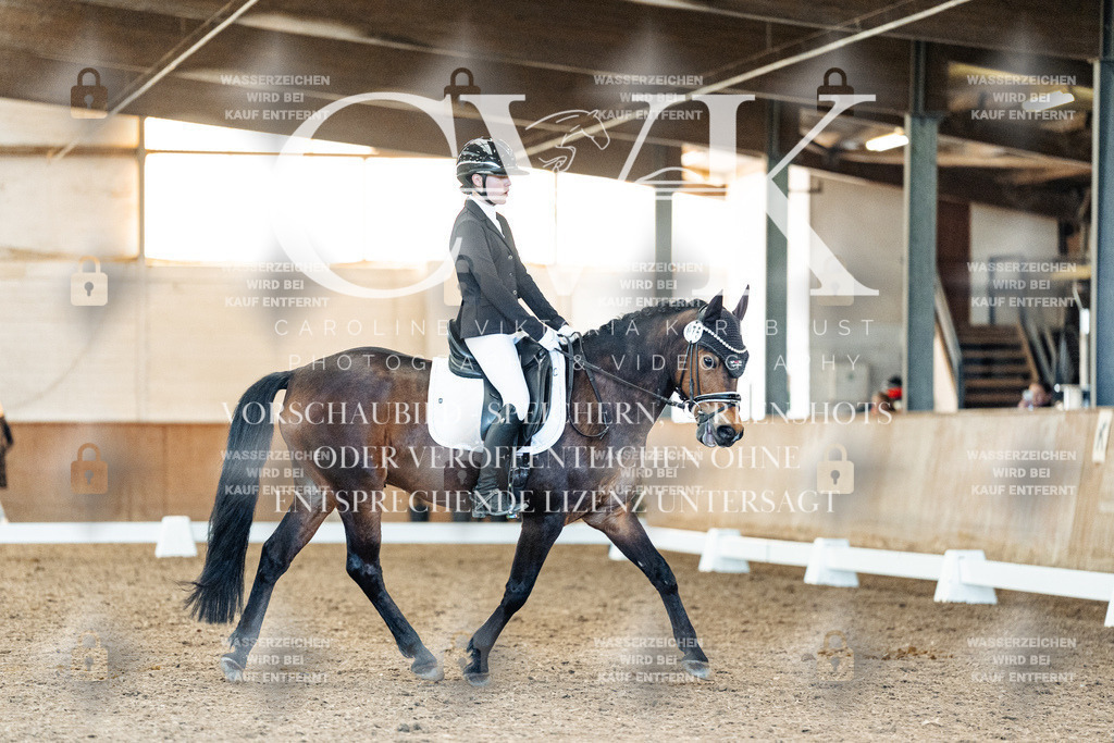 CK908070 | Turnierfotografie Pferdefotografie Trier Rheinland-Pfalz Pferdesport Reitsport Tierfotografie Sportfotografie Pferdevideo Pferdevideografie Equestrianvideography equestrianphotography  - Realisiert mit Pictrs.com