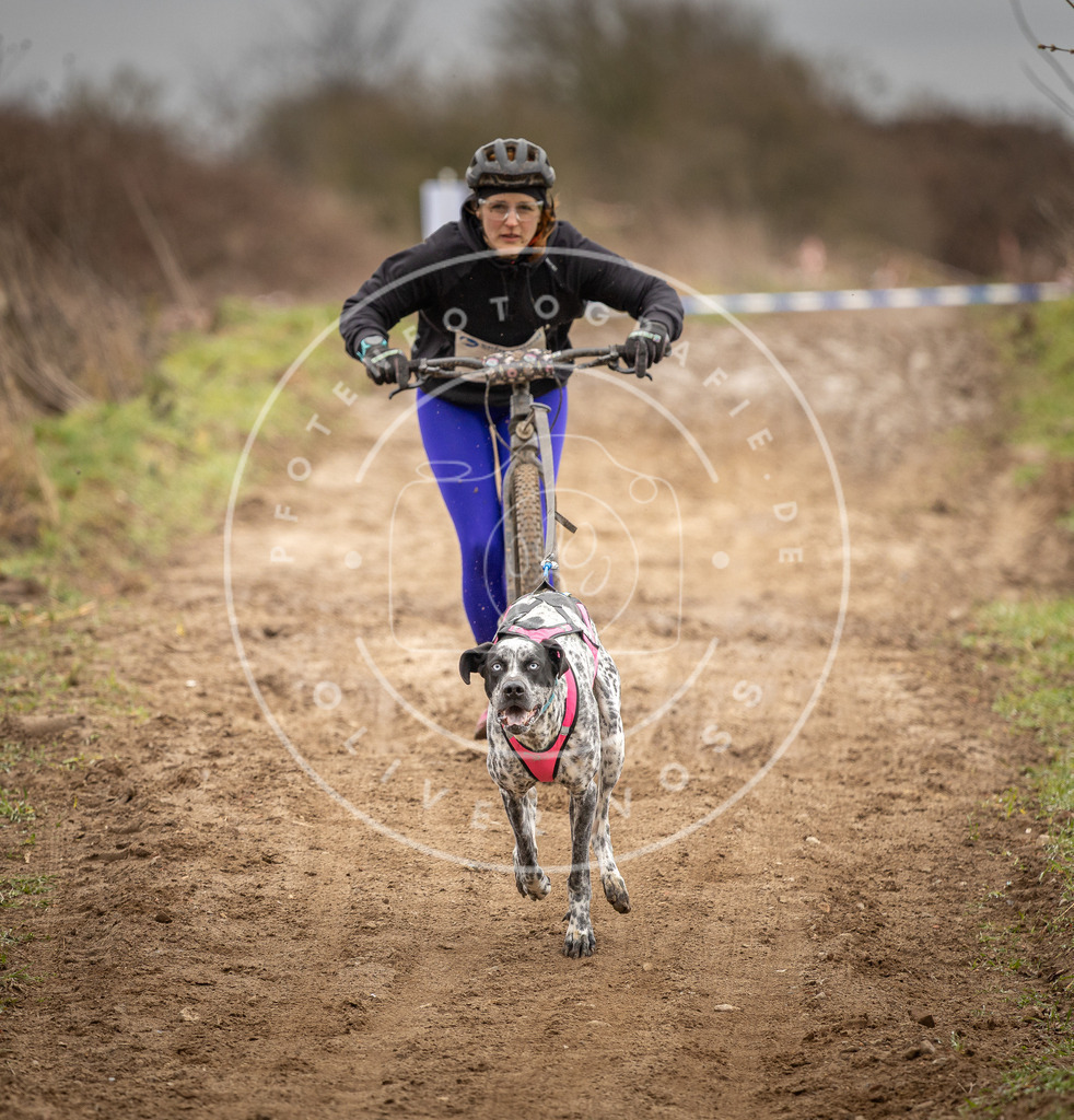 DV3A1284 | Hundefotografie, Tierfotograf, Pfotenfotografie, Fotoshooting Hund, Hunde Portrait, Hundesport, Hundeportraits, Heideshooting, Hunde, Sportfotograf, Hundefotograf, Turnierhundsport, THS,  - Realisiert mit Pictrs.com