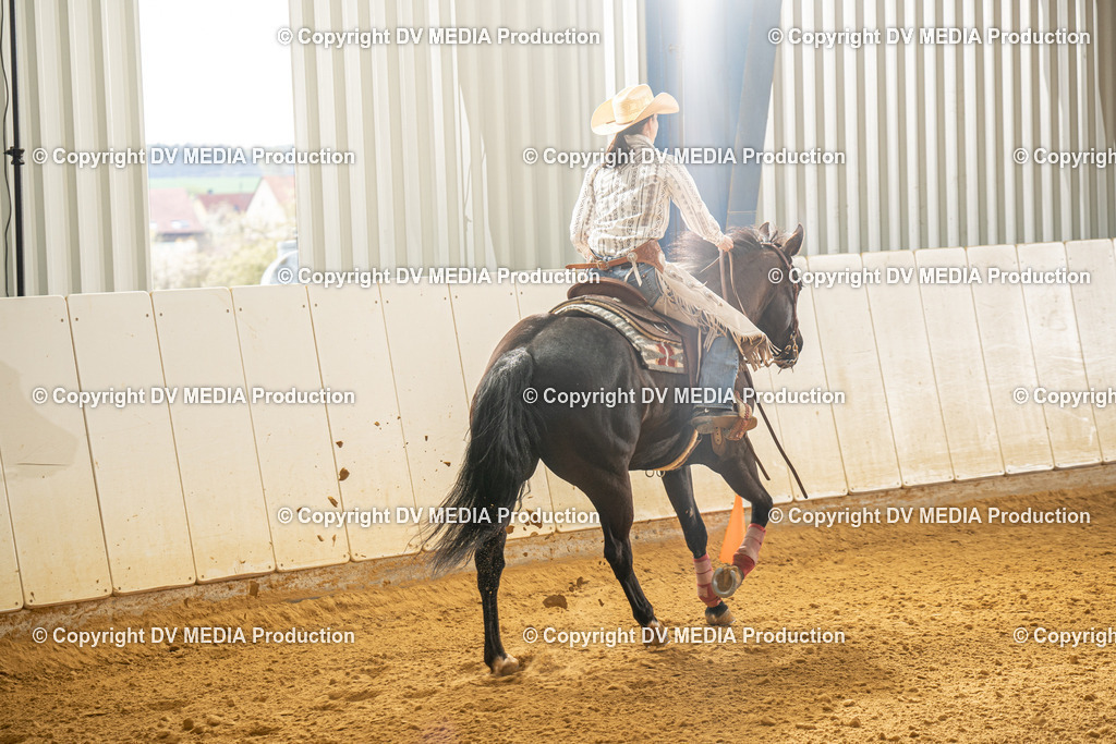 MIT00699 | dv-media-shop - Realisiert mit Pictrs.com