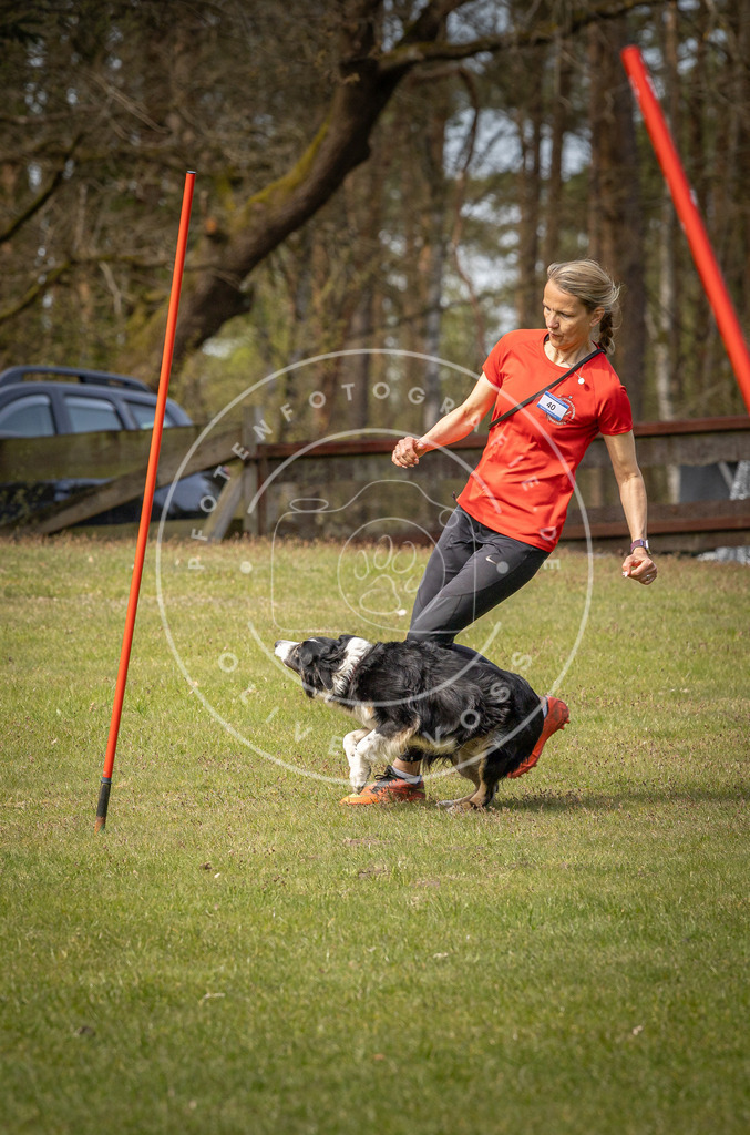 Pfotenfotografie_DV3A7611 | Hundefotografie, Tierfotograf, Pfotenfotografie, Fotoshooting Hund, Hunde Portrait, Hundesport, Hundeportraits, Heideshooting, Hunde, Sportfotograf, Hundefotograf, Turnierhundsport, THS,  - Realisiert mit Pictrs.com