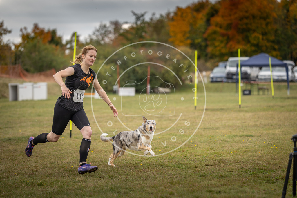 Pfotenfotografie_DV3A7578 | Hundefotografie, Tierfotograf, Pfotenfotografie, Fotoshooting Hund, Hunde Portrait, Hundesport, Hundeportraits, Heideshooting, Hunde, Sportfotograf, Hundefotograf, Turnierhundsport, THS,  - Realisiert mit Pictrs.com