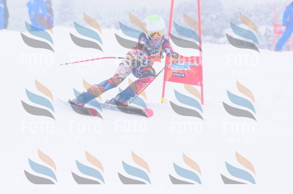 C3472 | holidayphoto