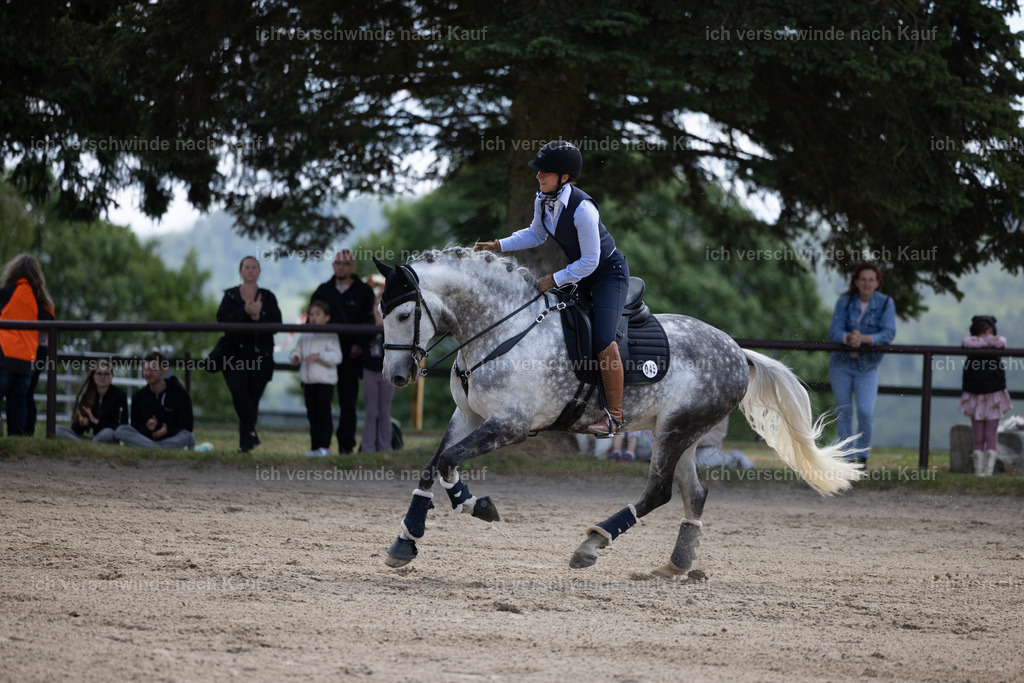 Masterclass_stoibphotography_C2_C8412.CR3 | working equitationturnier fotograf videograf stoibphotography marixx film working equitation deutschland reitsport turnierfotografie eventfotografie equestrian events