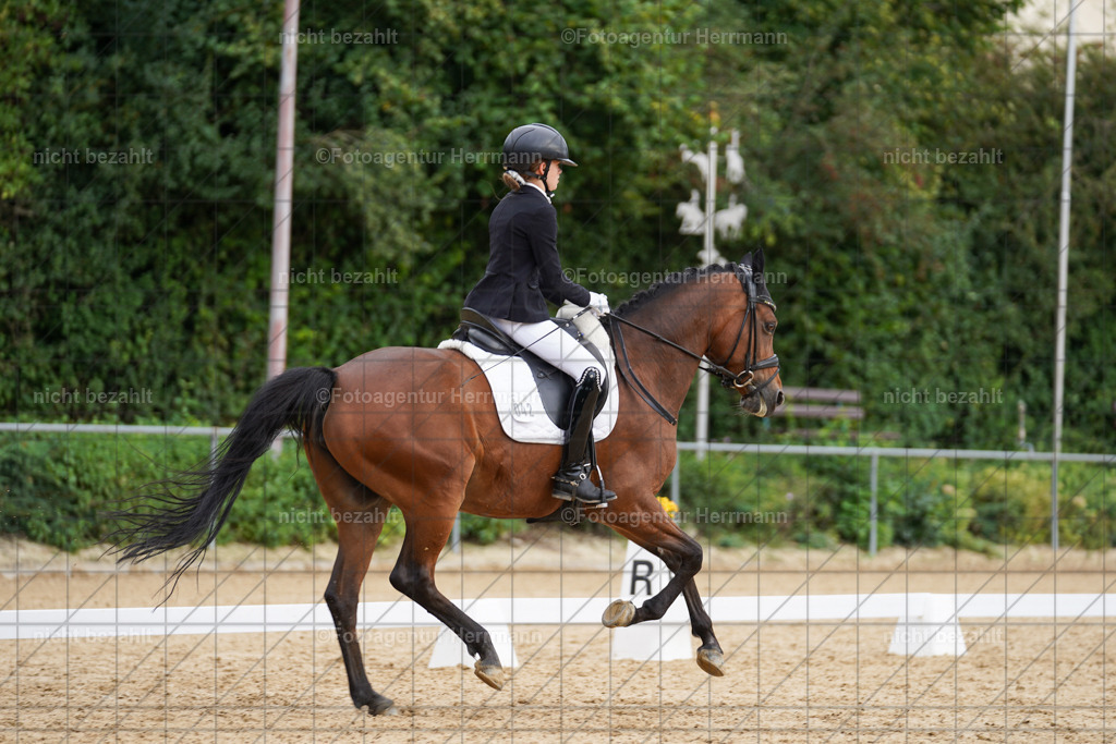 20240825-FAH00149 | Turnierbilder, Reitsportfotos, LAPO, Landesponyturnier, Turnierfotografen Bayern