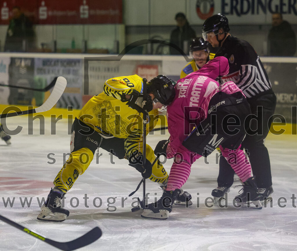 2025-10-10_042_TSV_Erding_gegen_onesto_Tigers_Bayreuth | Erding, Deutschland, 10.10.2025:Eishockey, Oberliga Süd 2025 / 2026, 7. Spieltag, TSV Erding gegen onesto Tigers Bayreuth, Endergebnis: 2:5Jan Hammerbauer (onesto Tigers Bayreuth, #90), Louis Trattner (Erding Gladiators, #7)Foto: Christian Riedel / fotografie-riedel.net