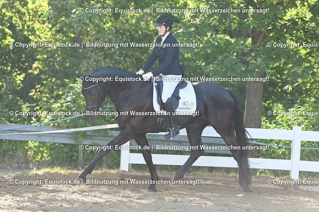 20230715_06_Dressurpferdeprfg. Kl.A_0025 | equistock