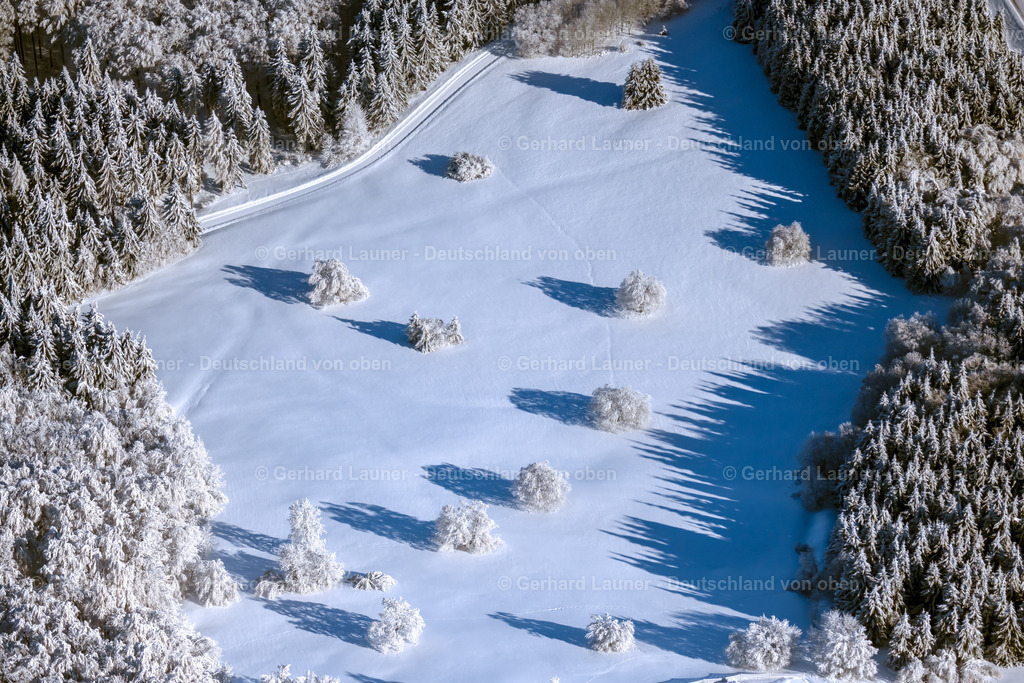 4043450 | GERSFELD (RHöN) 13.02.2021 Winterlich schneebedeckte Bäume mit Schattenbildung durch Lichteinstrahlung auf einem Feld in Gersfeld (Rhön) im Bundesland Hessen, Deutschland. // Wintry snowy tree with shadow forming by light irradiation on a field in Gersfeld (Rhoen) in the state Hesse, Germany. Foto: Gerhard Launer