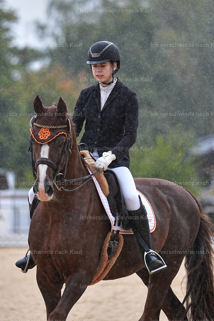 05-002-DRESSUR M_  -Marixx-4957 | working equitationturnier fotograf videograf stoibphotography marixx film working equitation deutschland reitsport turnierfotografie eventfotografie equestrian events