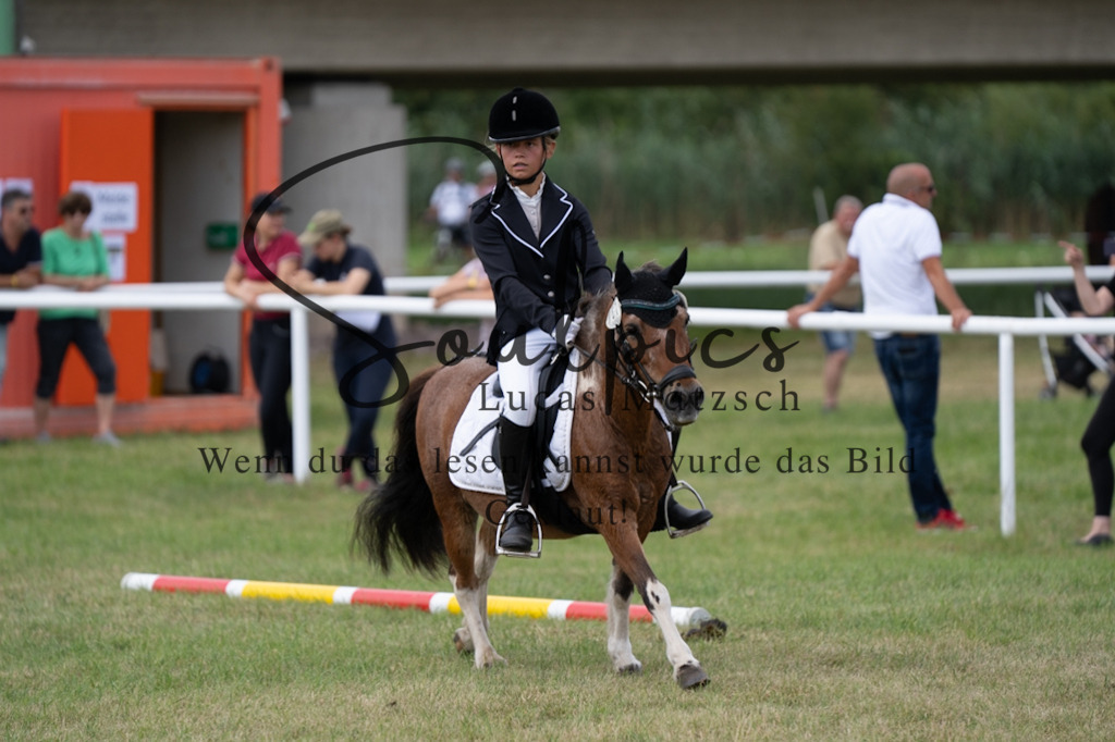 A7V00383 | Pferdefotograf