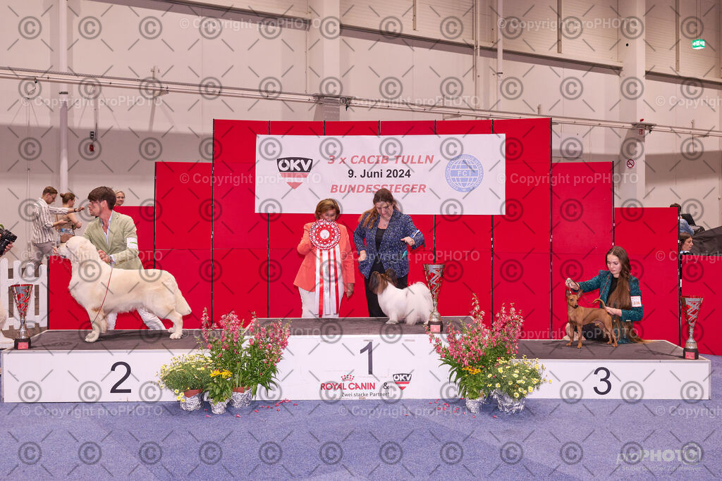 202406_ÖKV-IHA-Tulln24_NZ9_9606 | proPHOTO - Realisiert mit Pictrs.com