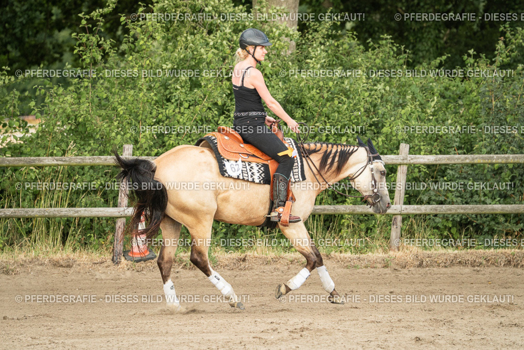 DSC05178 | Pferdegrafie