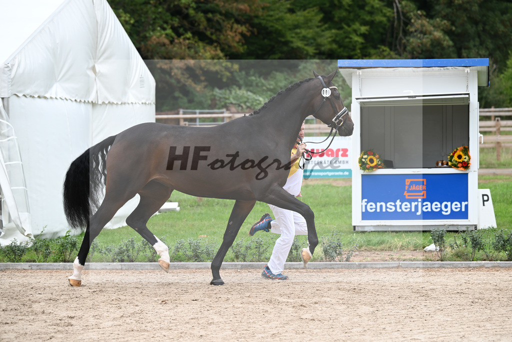 Kat-Nr. 9 Laurena_Kuehnle u Langhammer_49220896 | hf-fotografie - Realizzato con Pictrs.com