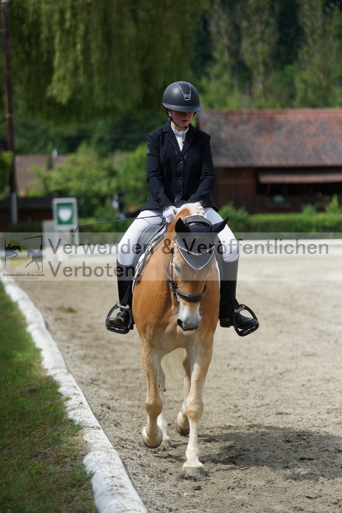 DSC04572 | equestrian-live-com