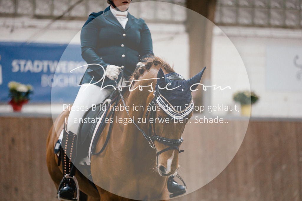 3I6A5954 | Stimmungsvolle Portraits und Reitsportfotografie im Ruhrgebiet und im Münsterland.

Pferdefotografie, Hundefotografie, Tierfotografie, Reportagen, Portraits von Tier und Mensch, Turnierfotografie in Bochum, Recklinghausen, Marl, Haltern am See, Dülmen.. - Realisiert mit Pictrs.com