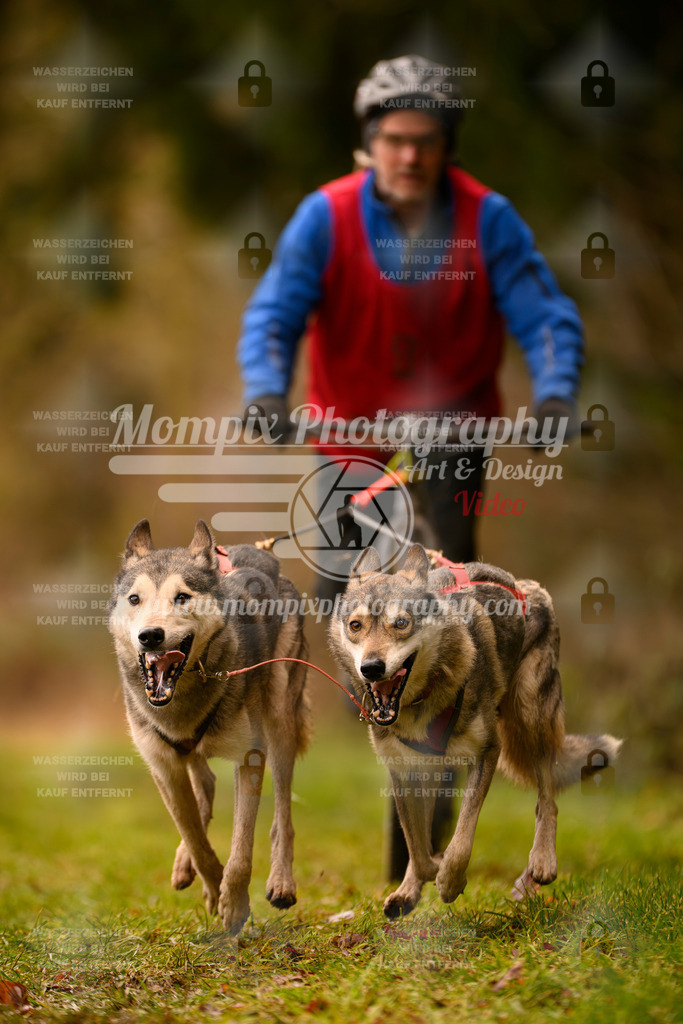 MompixPhotography_2SSTSSBW_2025_SO_Scooter-92 | PayLife