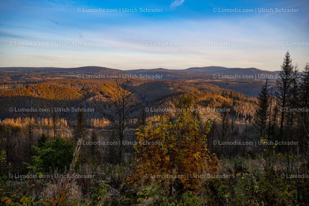 10049-12912 - Herbst im Westharz | Stockfoto und Bilderpool mit Bildmaterial aus Deutschland, dem Harz, Halberstadt, Quedlinburg, Wernigerode und weltweit. Qualitativ hochwertige und professionelle Fotos anschauen und kaufen. - Realisiert mit Pictrs.com