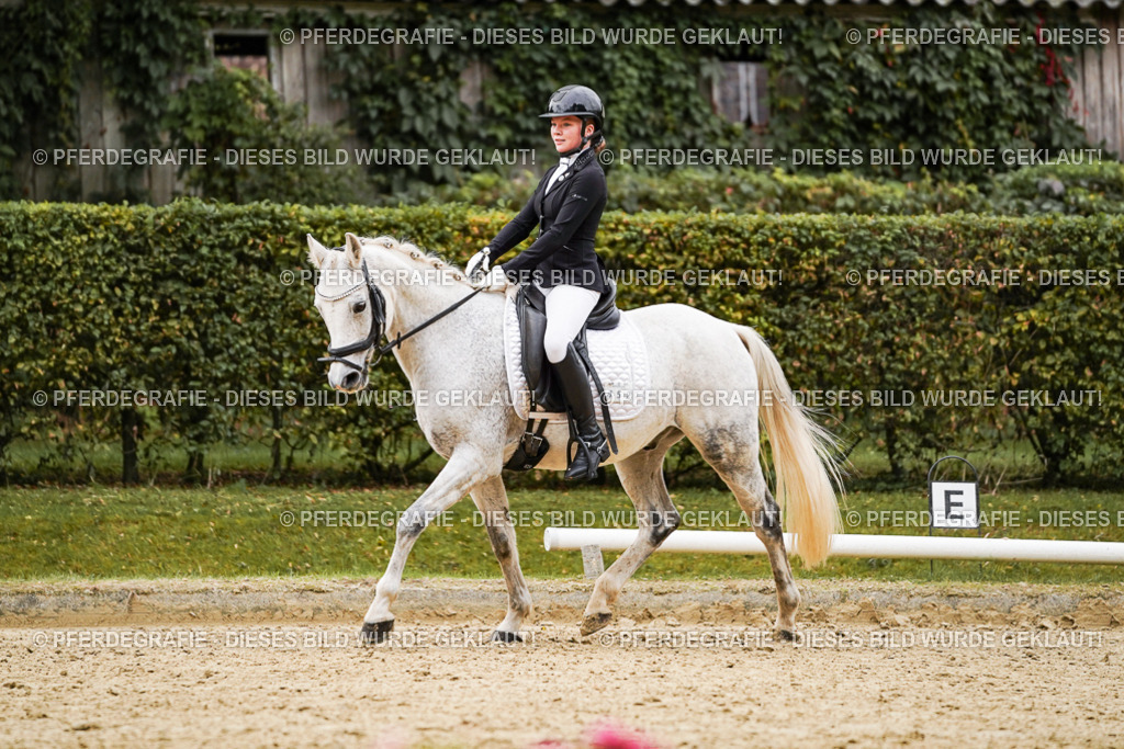 DSC07779 | Pferdegrafie